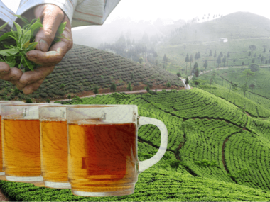 Welche Punkte es beim Kauf die Thai tea zu beurteilen gilt