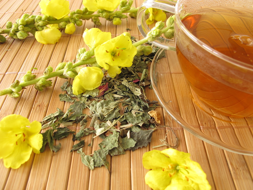 Mullein tea benefits