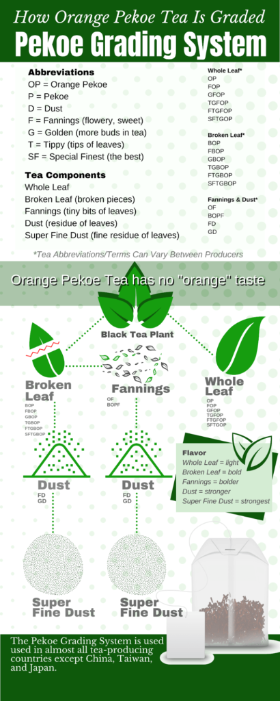 orange pekoe grading system infographic