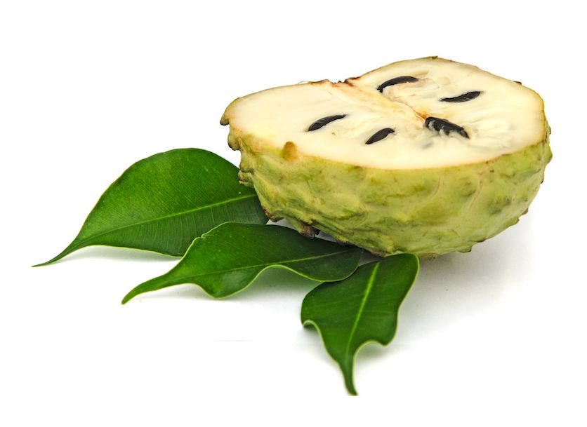 soursop plant and fruit