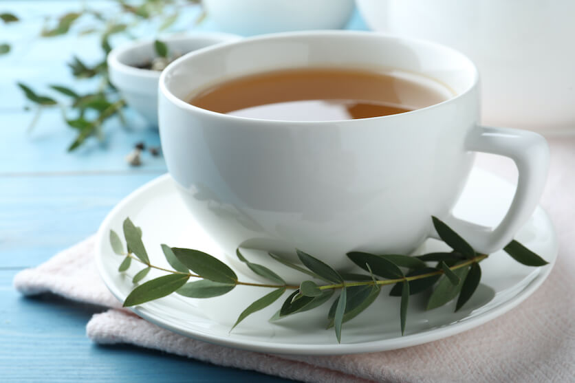 Eucalyptus tea processing