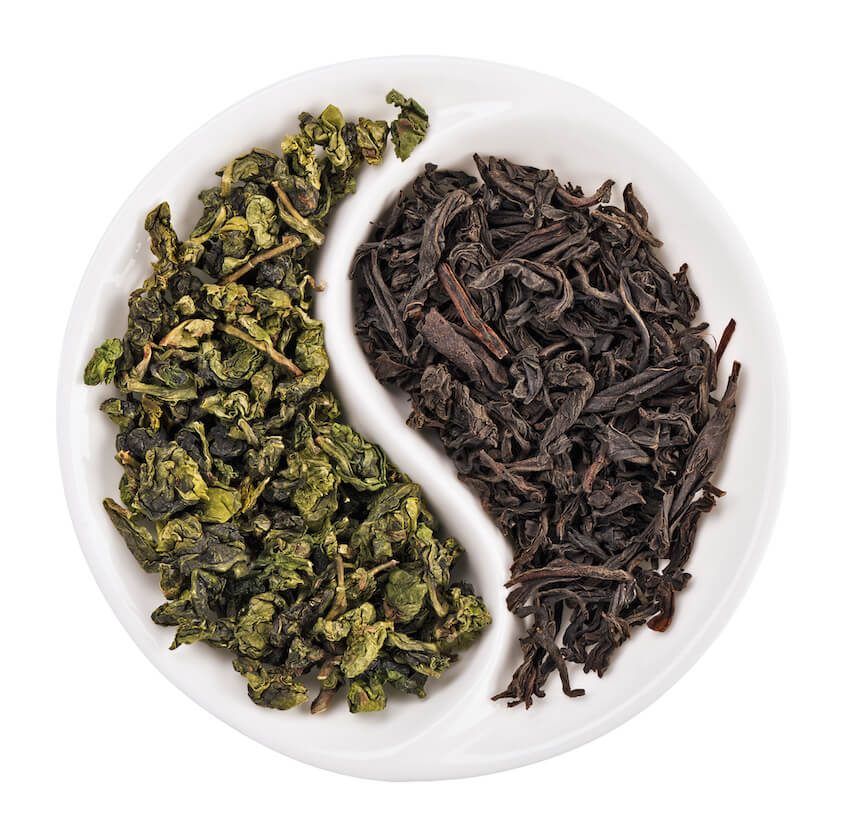 green tea vs black tea