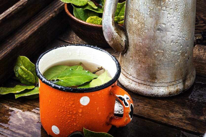 bay leaf tea benefits