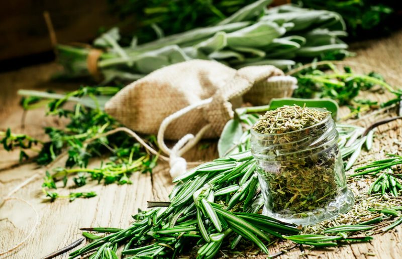 Rosemary Tea Why Try This Flavorful Tisane Tea Backyard