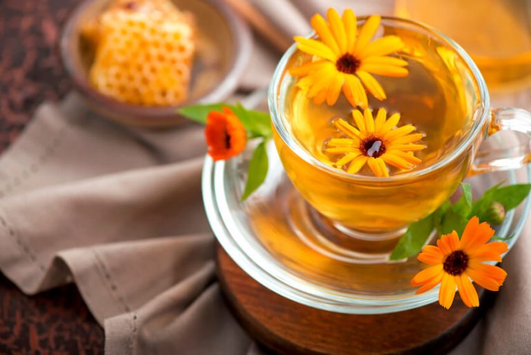 Arnica Tea Benefits and Brewing Tips Tea Backyard