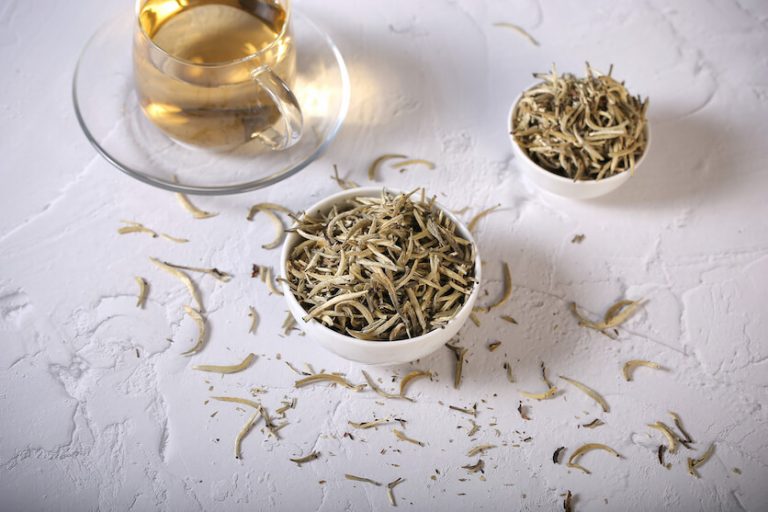 Silver Needle Tea Guide To Chinese White Tea Tea Backyard