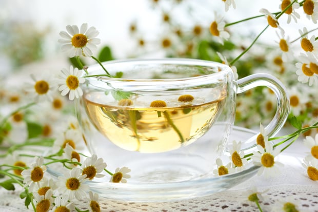 chamomile tea