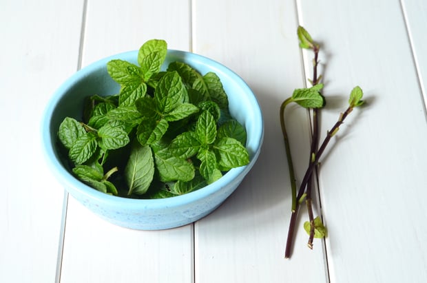 fresh peppermint leaves