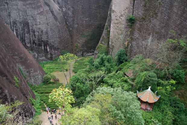 Wuyi mountains