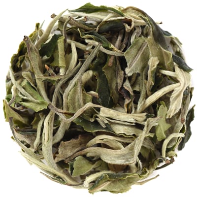 early spring white tea