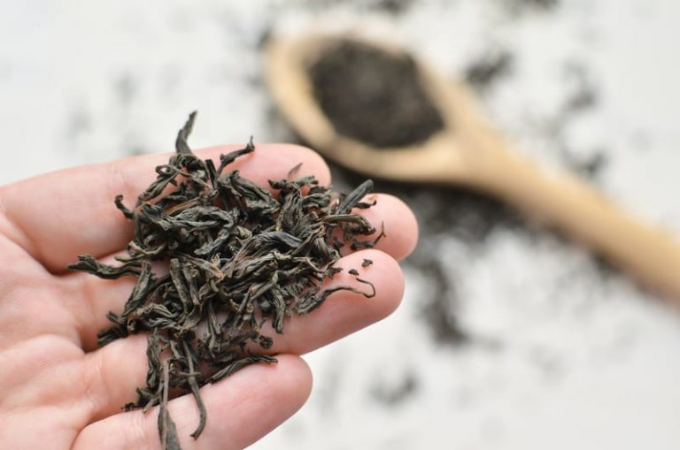 Nilgiri Tea A Black Tea From India To Know About Tea Backyard